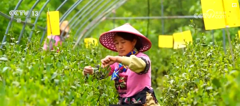 多组数据展现中国经济澎湃动能(图8)